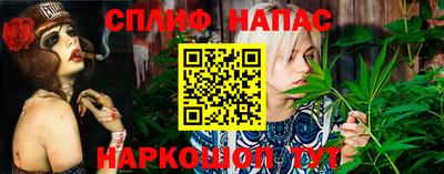 спиды Шахты