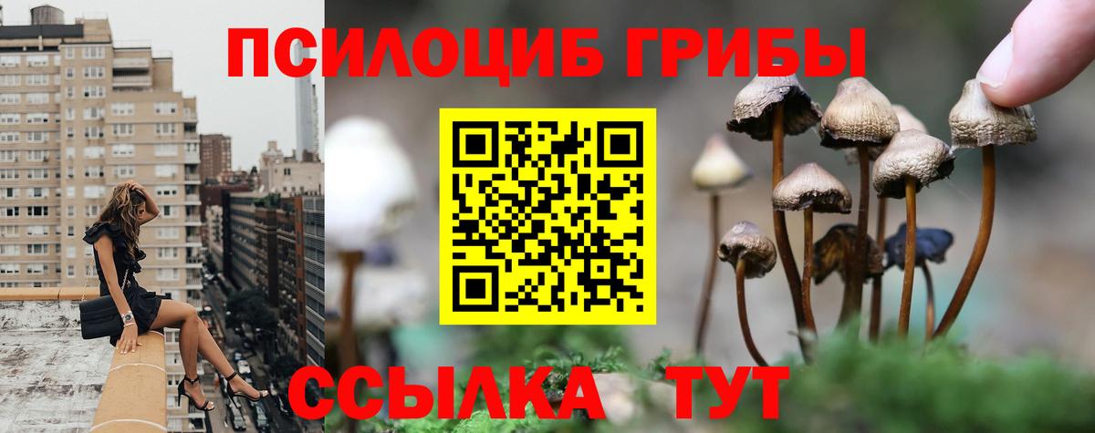 Галлюциногенные грибы мицелий Соль-Илецк