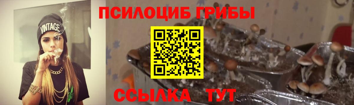 Соль-Илецк  Псилоцибиновые грибы ЛСД  Вход с VPN 